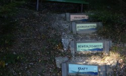 Trauer und Verlust